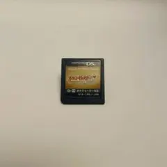 ポケットモンスター ハートゴールド ニンテンドーDS ソフト -1322