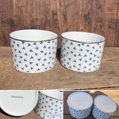 Item thumbnail for item 3db0142e-407a-4fbf-9f9c-90f1f268c20c