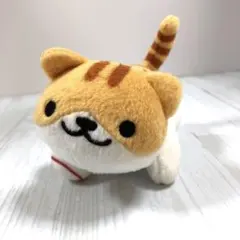 猫*士様 もちふわ！ ころころにゃんこ 八重山 石垣島 限定 いりおもて
