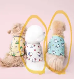 韓国 BITE ME ポチャッコ コラボ ペット用服 Sサイズ - メルカリ
