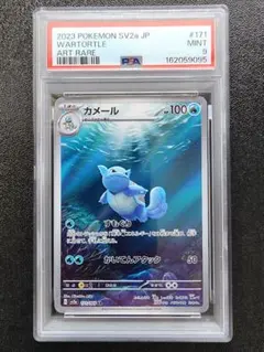 カメール AR PSA9