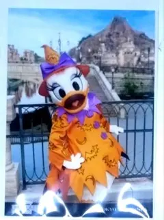 デイジー　ハロウィン写真