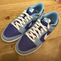 NIKE NIKE DUNK LOW RETRO QS ナイキダンクロー
