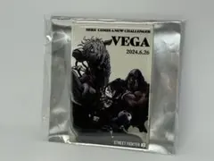 ストリートファイター6　トレーディングスクエアマグネット　がんばれジュリちゃん