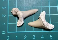 user_f82451a1様 リクエスト 2点 まとめ商品