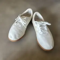 太極拳 カンフー