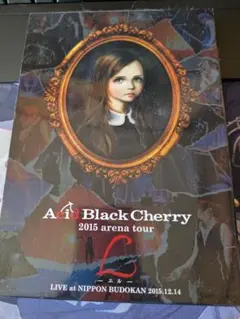 Acid Black Cherry 2015 arena tour L
