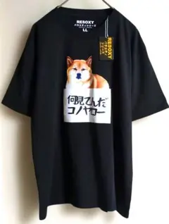 柴犬 フォトプリント Tシャツ 何見てんだコノヤロー LL