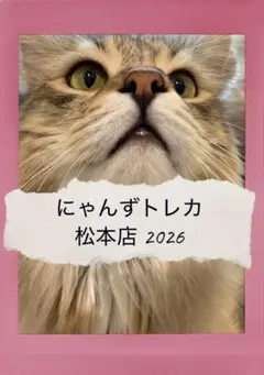 バラ売り可】にゃんずトレカ松本店 2026 - メルカリ