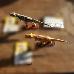 Item thumbnail for item dd13936d-658a-42ba-a527-576ca041f794