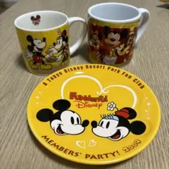 非売品　ファンダフルディズニー　スーベニアカップ　プレート　ファンパーティー