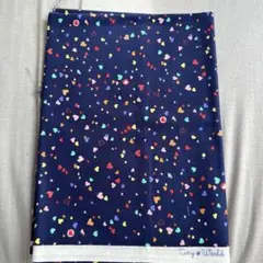 Item thumbnail for item a9d329a1-14db-454b-9fd6-749f68da0a33