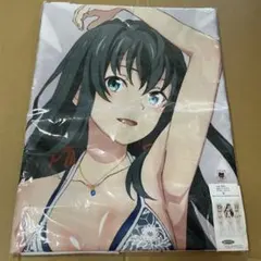 やはり俺の青春ラブコメはまちがっている。続 キャラクター 原画集