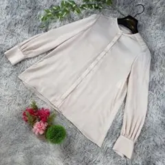 ✨ANAYI✨サイズ36(S) 長袖 ブラウス ペールピンク クルーネックのサムネイル
