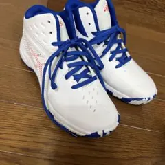 美品ASICS GEL-IMPROVE バスケットシューズ ホワイト/ブルー