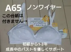 ATSUGI A65 ノンワイヤー ジュニアブラ