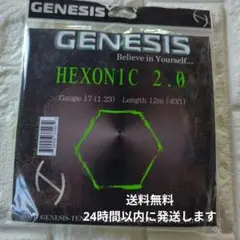 GENESIS HEXONIC 2.0 1.23ミリゲージ　パッケージ品