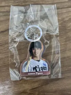 ぽるお様 リクエスト 2点 まとめ商品