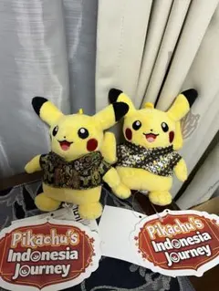 2025年最新】バティック ピカチュウの人気アイテム - メルカリ