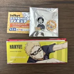 ハイキュー アクリルminiフィギュア 缶バッジ 山口 月島