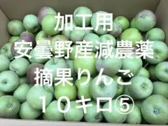 ✴︎加工用✴︎安曇野産✴︎減農薬✴︎摘果りんご10キロ⑤のサムネイル