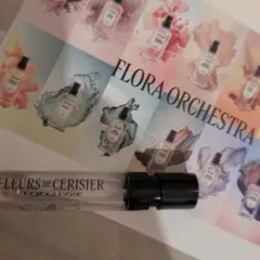 FLEURS DE CERISIER L'OCCITANE 香水