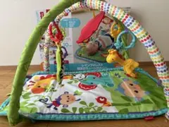Fisher-Price レインフォレスト指遊びミュージカルジムのサムネイル
