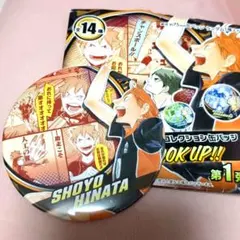 ハイキュー！！　日向翔陽　コレクション缶バッジのサムネイル