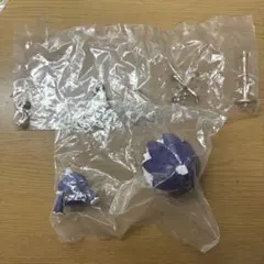 アイカツカプセルトルソー ゴスマジックコーデ