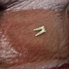 Sirver925製 スクロールチップ ボロチップ