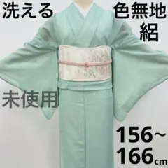 着用少ない！単衣＊幻想的花柄＊居敷当て付き＊青藤色＊訪問着