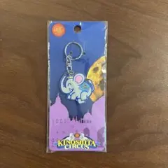 Item thumbnail for item 22e26af1-4e31-473a-81dc-5b6f687ef3f0