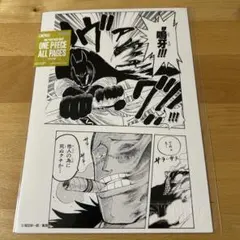 ONE PIECE オールページ　チャカ　クロコダイル