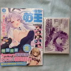 電撃萌王 2026年4月号 特別付録 karory枕カバー付