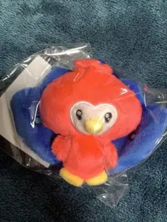 2026年最新】SUPERjunior ぬいぐるみの人気アイテム - メルカリ