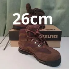 Item thumbnail for item 560d4ec2-4d8e-4760-8d58-e08c542549c3