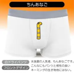 【新品】チンアナゴ　Mサイズ　ボクサーパンツ