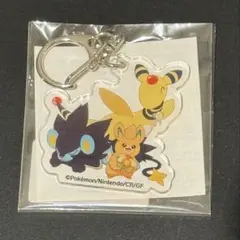 【レントラー・パモット・デンリュウ】アクキー