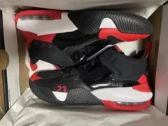 AIR JORDAN ステイロイヤル2