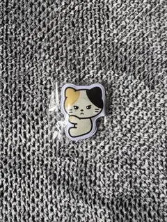 zeroni ぴたハグ リッキー リニニ ゼロニ ゼベワン　zb1