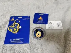 ウォルトディズニーワールド 50周年 キーチェーン オーナメント ディズニー