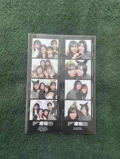 新品｜桜井日奈子 10周年記念 FC会員限定 生写真2枚セット - メルカリ