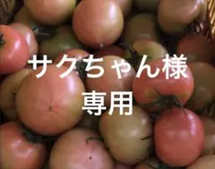 サクちゃん様　専用