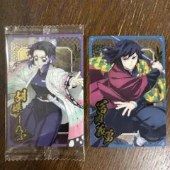 胡蝶しのぶ 冨岡義勇 イラストカードセット