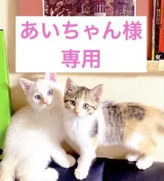 トップクラス＊ルビー＊ブリオレットカットl63