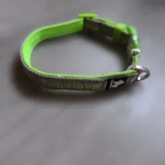 Truelove 首輪　Sサイズのサムネイル