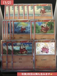 【シングル販売】ホゲータ 進化ライン まとめ売り