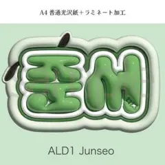 ALD1 ジュンソ ALPHA DRIVE ONE ぷっくり ネームボード