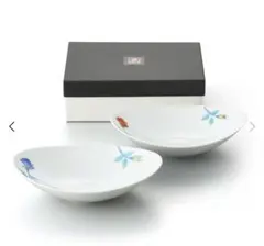新品未使用・箱入】伊万里焼 畑萬陶苑 バラ 楕円パスタ皿（赤・青）2枚