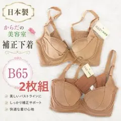 444円～【日本製】補正下着 ブラジャー からだの美容室 2枚セットのサムネイル